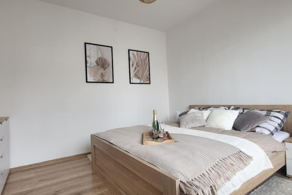 Utulny Byt V Centru Mesta Rychnov nad Kneznou Extérieur photo