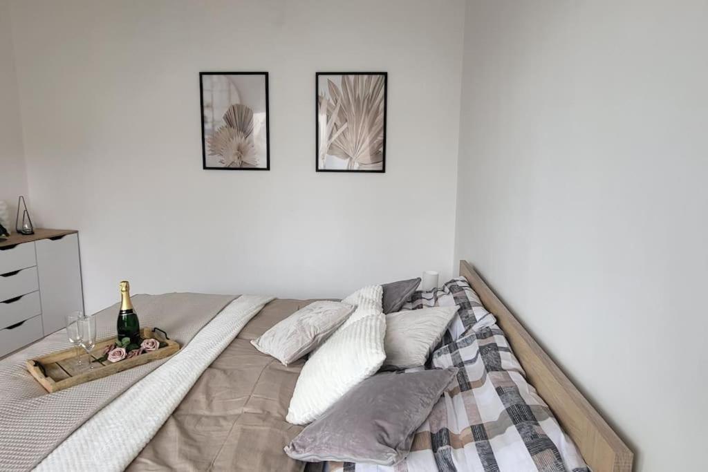 Utulny Byt V Centru Mesta Rychnov nad Kneznou Extérieur photo